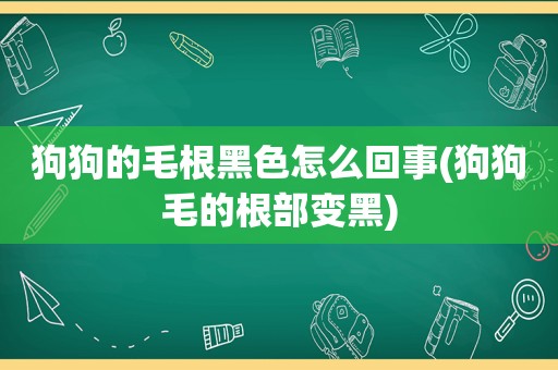 狗狗的毛根黑色怎么回事(狗狗毛的根部变黑)