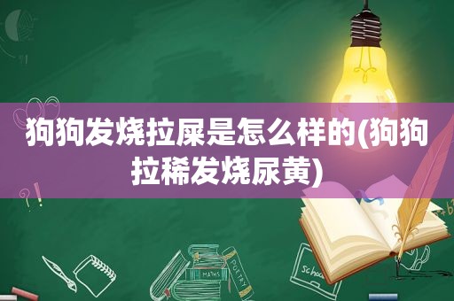 狗狗发烧拉屎是怎么样的(狗狗拉稀发烧尿黄)