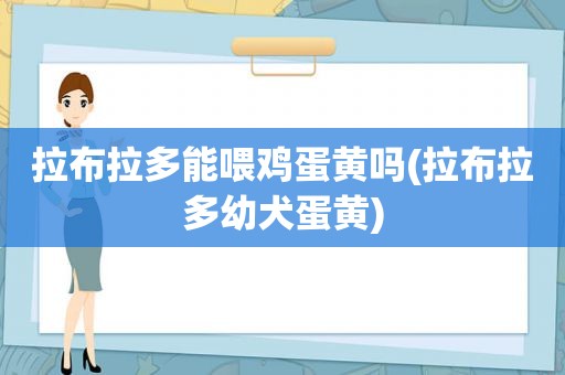 拉布拉多能喂鸡蛋黄吗(拉布拉多幼犬蛋黄)