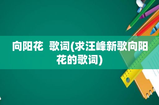 向阳花  歌词(求汪峰新歌向阳花的歌词)