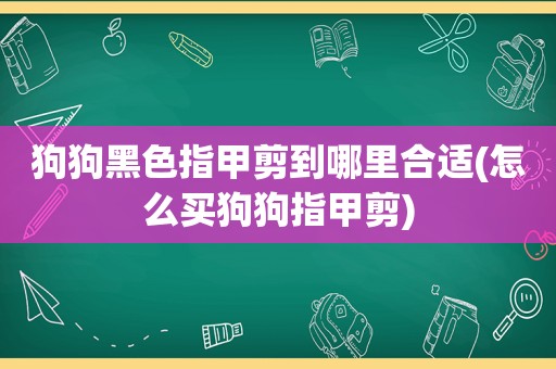 狗狗黑色指甲剪到哪里合适(怎么买狗狗指甲剪)