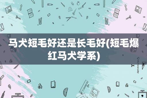 马犬短毛好还是长毛好(短毛爆红马犬学系)