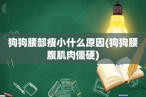 狗狗腰部瘦小什么原因(狗狗腰腹肌肉僵硬)