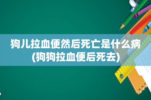 狗儿拉血便然后死亡是什么病(狗狗拉血便后死去)