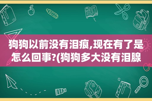 狗狗以前没有泪痕,现在有了是怎么回事?(狗狗多大没有泪腺)