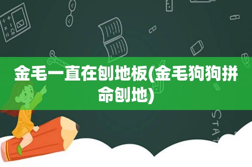 金毛一直在刨地板(金毛狗狗拼命刨地)