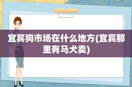 宜宾狗市场在什么地方(宜宾那里有马犬卖)