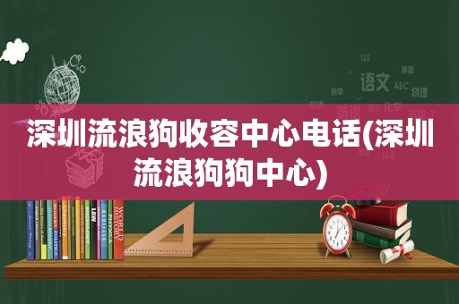 深圳流浪狗收容中心电话(深圳流浪狗狗中心)