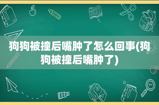 狗狗被撞后嘴肿了怎么回事(狗狗被撞后嘴肿了)