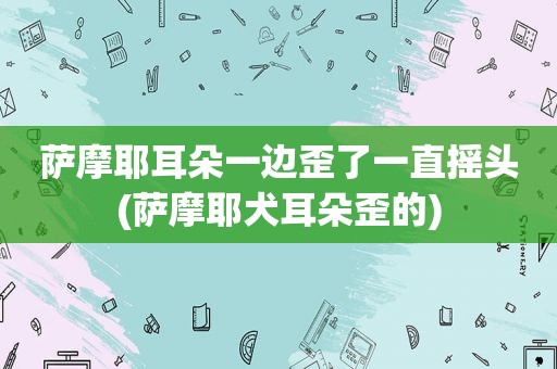 萨摩耶耳朵一边歪了一直摇头(萨摩耶犬耳朵歪的)