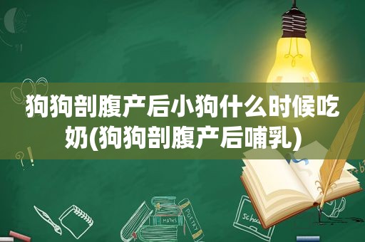 狗狗剖腹产后小狗什么时候吃奶(狗狗剖腹产后哺乳)