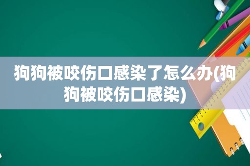 狗狗被咬伤口感染了怎么办(狗狗被咬伤口感染)