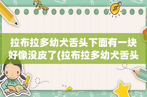 拉布拉多幼犬舌头下面有一块好像没皮了(拉布拉多幼犬舌头)