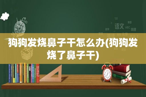 狗狗发烧鼻子干怎么办(狗狗发烧了鼻子干)