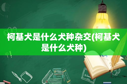 柯基犬是什么犬种杂交(柯基犬是什么犬种)