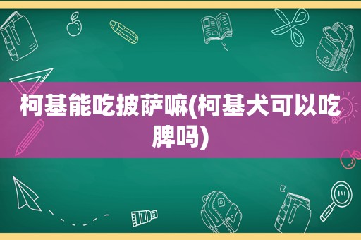 柯基能吃披萨嘛(柯基犬可以吃脾吗)