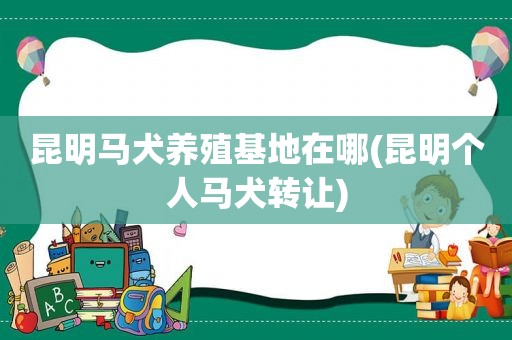 昆明马犬养殖基地在哪(昆明个人马犬转让)