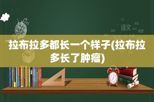 拉布拉多都长一个样子(拉布拉多长了肿瘤)