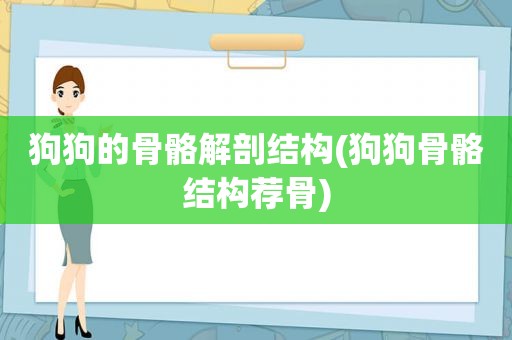 狗狗的骨骼解剖结构(狗狗骨骼结构荐骨)