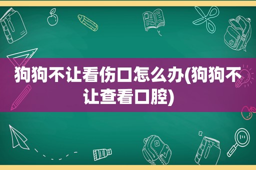 狗狗不让看伤口怎么办(狗狗不让查看口腔)