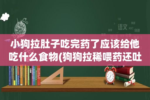 小狗拉肚子吃完药了应该给他吃什么食物(狗狗拉稀喂药还吐)