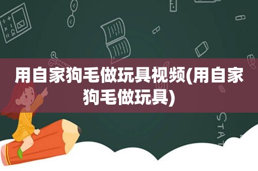 用自家狗毛做玩具视频(用自家狗毛做玩具)