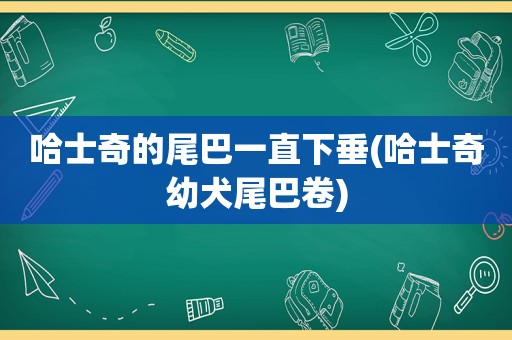 哈士奇的尾巴一直下垂(哈士奇幼犬尾巴卷)