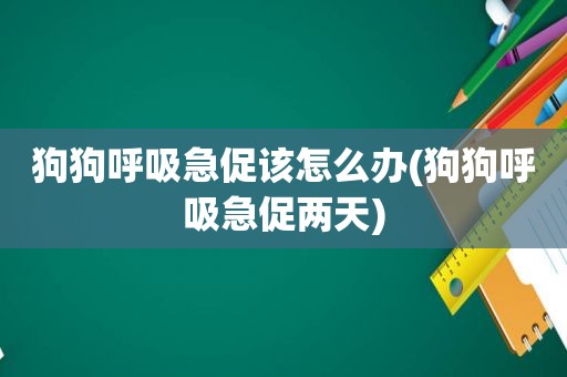 狗狗呼吸急促该怎么办(狗狗呼吸急促两天)