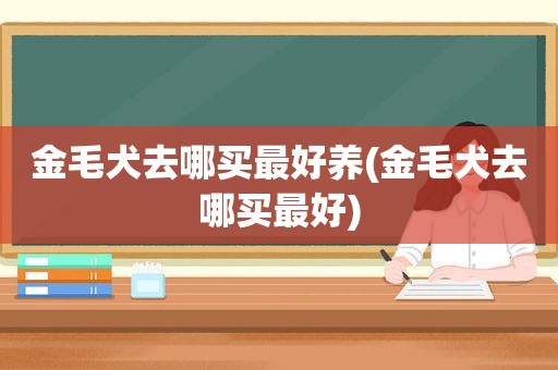 金毛犬去哪买最好养(金毛犬去哪买最好)