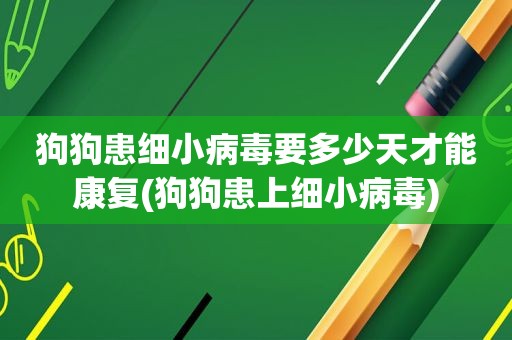 狗狗患细小病毒要多少天才能康复(狗狗患上细小病毒)