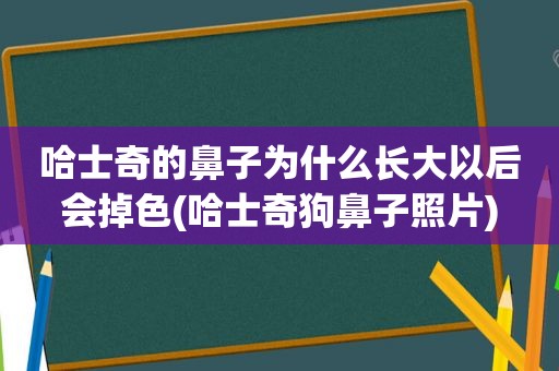 哈士奇的鼻子为什么长大以后会掉色(哈士奇狗鼻子照片)