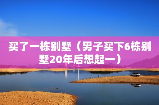 买了一栋别墅（男子买下6栋别墅20年后想起一）