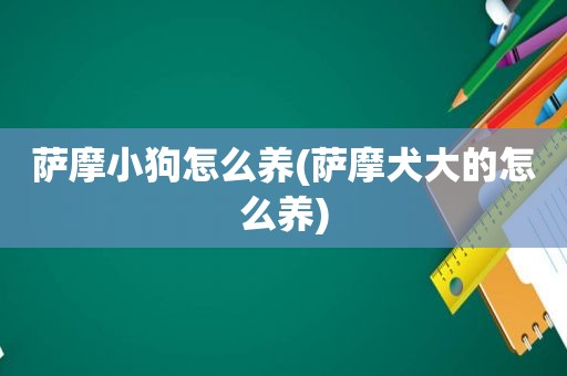 萨摩小狗怎么养(萨摩犬大的怎么养)