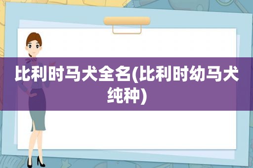 比利时马犬全名(比利时幼马犬纯种)