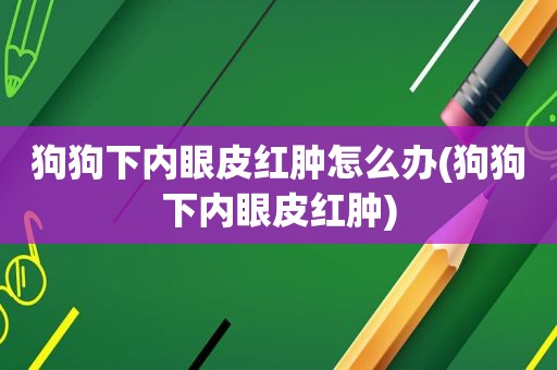 狗狗下内眼皮红肿怎么办(狗狗下内眼皮红肿)