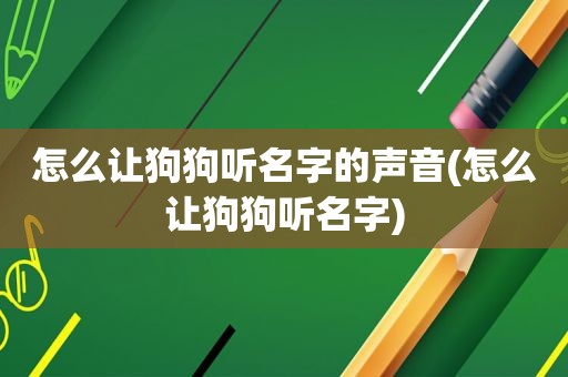 怎么让狗狗听名字的声音(怎么让狗狗听名字)