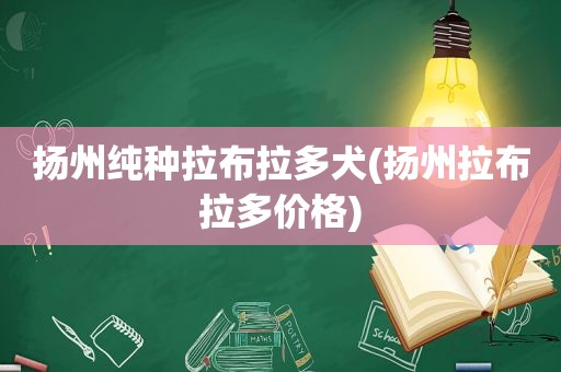 扬州纯种拉布拉多犬(扬州拉布拉多价格)