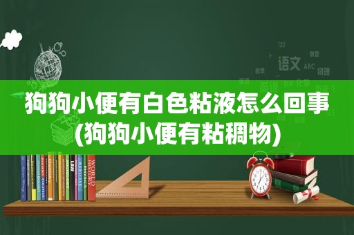 狗狗小便有白色粘液怎么回事(狗狗小便有粘稠物)