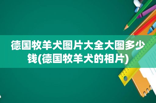 德国牧羊犬图片大全大图多少钱(德国牧羊犬的相片)