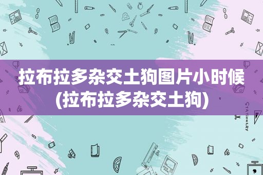 拉布拉多杂交土狗图片小时候(拉布拉多杂交土狗)