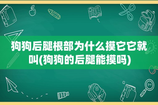 狗狗后腿根部为什么摸它它就叫(狗狗的后腿能摸吗)