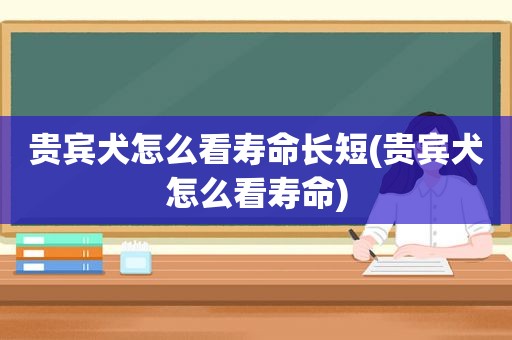 贵宾犬怎么看寿命长短(贵宾犬怎么看寿命)