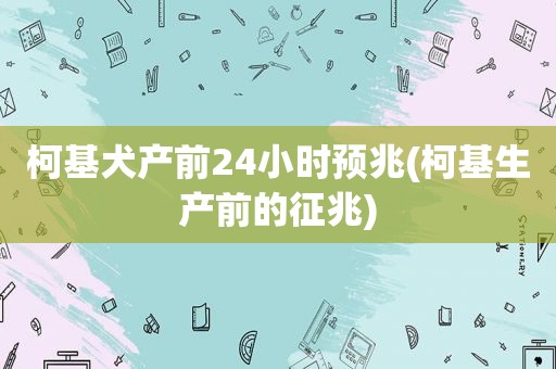 柯基犬产前24小时预兆(柯基生产前的征兆)