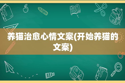 养猫治愈心情文案(开始养猫的文案)