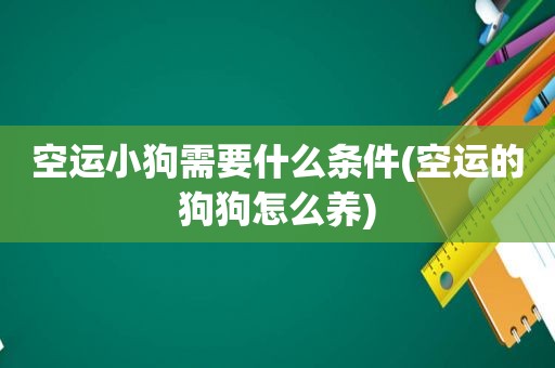 空运小狗需要什么条件(空运的狗狗怎么养)