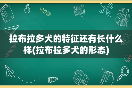 拉布拉多犬的特征还有长什么样(拉布拉多犬的形态)