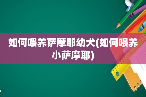 如何喂养萨摩耶幼犬(如何喂养小萨摩耶)