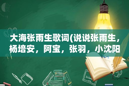 大海张雨生歌词(说说张雨生，杨培安，阿宝，张羽，小沈阳他们唱的大海哪个唱的好)