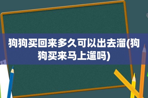 狗狗买回来多久可以出去溜(狗狗买来马上遛吗)