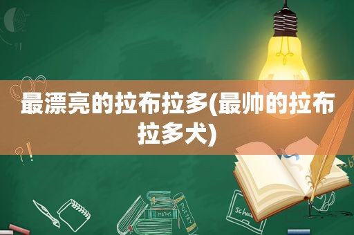 最漂亮的拉布拉多(最帅的拉布拉多犬)